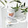 Thorne Research Green Tea Phytosome / Фітосоми зеленого чаю 60 капсул, фото 4