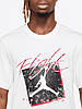 Футболка Jordan Boxed Flight Logo Graphic (DX9593-100), фото 4