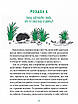 Книга Гра в індіанців, або Ніколи не смійся з крокодила. Леся Воронина, Валерія Печеник, фото 5