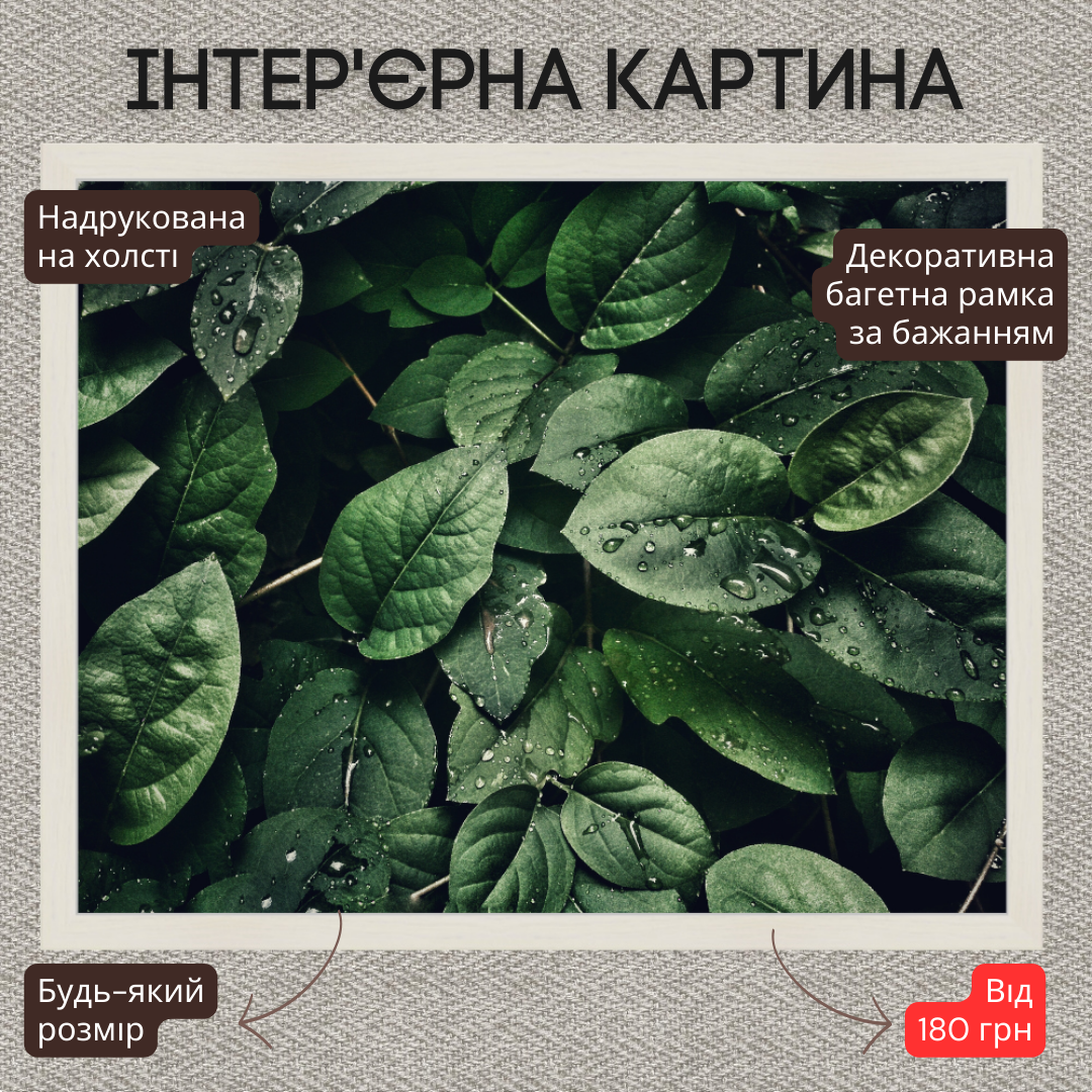 Інтер'єрна картина-постер на стіну Роса на зелёных листьях 30*20 Орігамі OAP 5117 Маленька