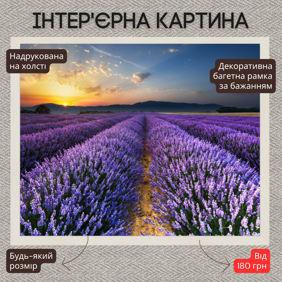 Інтер'єрна картина-постер на стіну Поле лаванды 30*20 Орігамі OAP 5216 Маленька