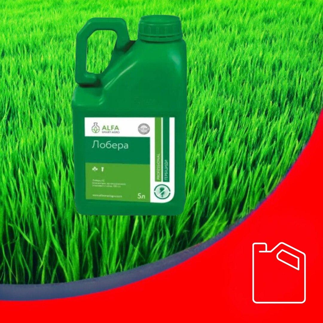 Гербіцид Лобера (Міура), фото 1