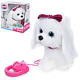 Інтерактивне цуценя Лапуля на поводку Pets, MP 2312, фото 3