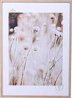 Картина Dry flowers 50x70 см Styler OB-14039 ОСТАТОК! КОЛИЧЕСТВО УТОЧНЯЙТЕ 2407