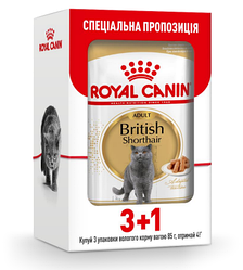 Акція! Корм Royal Canin British Shorthair Аdult (Роял Канін), 85г. х 3 шт + 1 шт у подарунок!