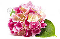 Цветок искусственный Гортензия розовая 42 см 630584 2407