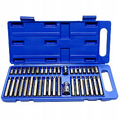 Набір біт IMBUS HEX TORX SPLINE Silver S10631 40 шт