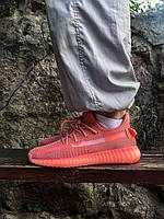 Adidas Yeezy Boost 350 Coral (Рефлективні шнурки)