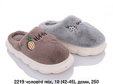 Капці чоловічі Lion