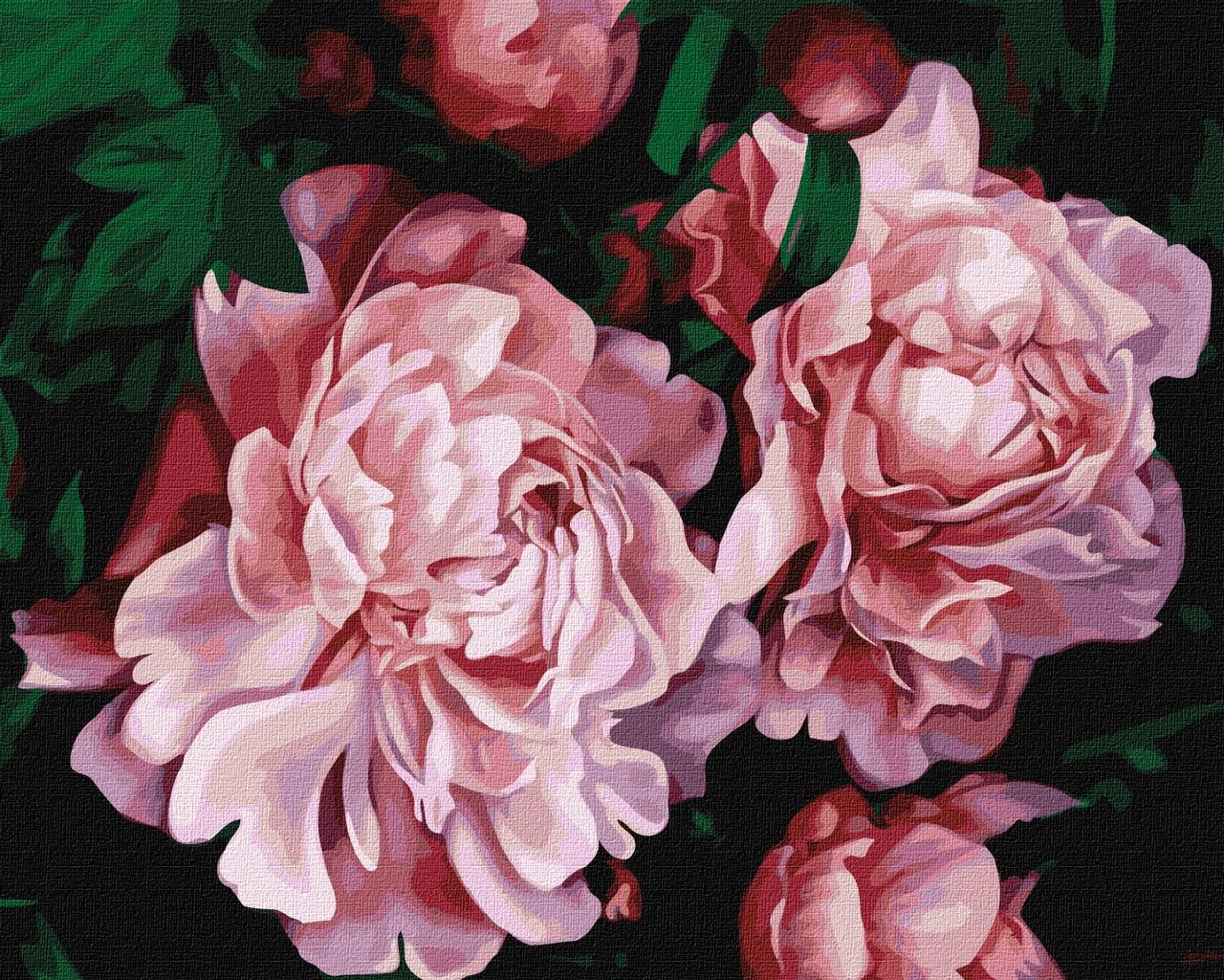 Картина за номерами 40×50 см Дивовижні троянди ©Popova Josephine Ідейка КНО3232