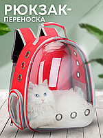 Рюкзак-переноска для котов и кошек до 15 кг. Сумка для животных с Иллюминатором и прозрачными стенками кр. BB
