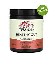 Terra Origin, Healthy Gut, Нормализация функций желудочно-кишечного тракта, арбуз, 243 г