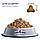 Club 4 Paws Premium Клуб 4 лапи сухий корм для цуценят великих порід, курка 2 КГ, фото 4