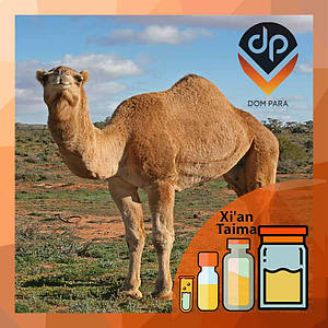 Ароматизатор Xi'an Taima Camel