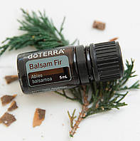 Пихта Бальзамическая / Balsam Fir - Лимитированное эфирное масло doTERRA, 5 мл