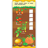 Найшвидший спосіб Вивчити алфавіт Авт: Смирнова К. Вид: УЛА, фото 3