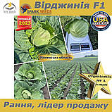 Капуста надрання  Вірджинія F1 (Spark seeds, США), проф.пакет 2500 нвсінин, фото 3