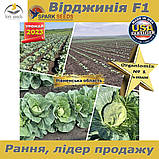 Капуста надрання  Вірджинія F1 (Spark seeds, США), проф.пакет 2500 нвсінин, фото 3