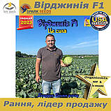 Капуста надрання  Вірджинія F1 (Spark seeds, США), проф.пакет 2500 нвсінин, фото 4