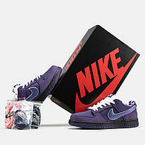 Кросівки Nike SB Dunk Low Lobster Purple / Найк СБ Данк Лобстер Низькі Фіолетові, фото 6