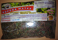 Боровая матка трава 50 гр