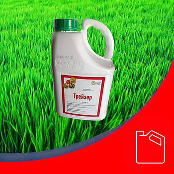 Фунгіцидно-інсектицидний протруйник Трейзер Ранголі