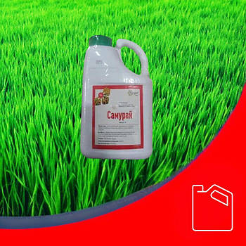 Інсектицидно-фунгіцидний протруювач Самурай Ранголі