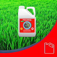 Універсальний протруювач Рекорд Укравіт