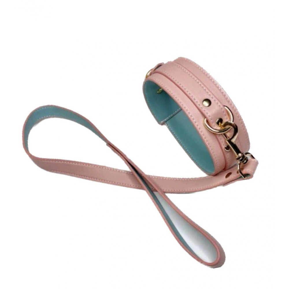 Нашийник із повідцем DS Fetish Collar with leash pink