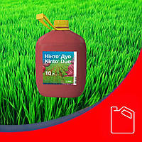 Протруйник для зернових Кінто Дуо Басф