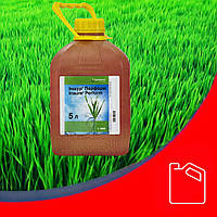 Протруйник насіння Іншур Перформ Басф