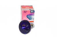 Лампа накаливания рефекторная фиолетовая Osram R80