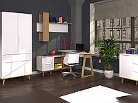 Комплект офисной мебели 1 Neptun Mebel Bos
