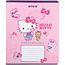 Набір шкільних зошитів 18 аркушів, клітинка, Kite Hello Kitty (20 штук)  hk23-236, фото 7