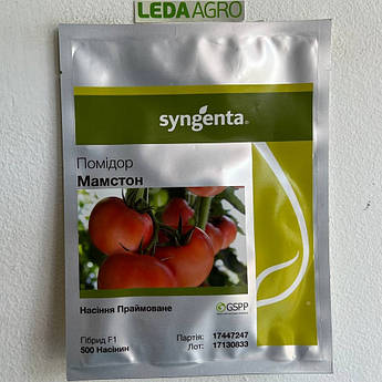 Мамстон 500 шт Syngenta Індетермінантний Томат Насіння (Індетермінантний Томат Насіння)