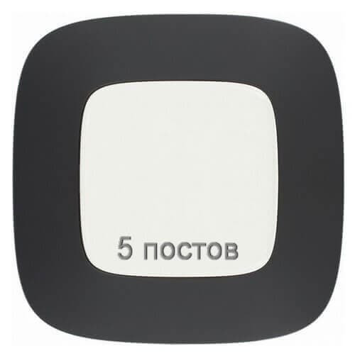 Рамка 5 постів, матовий чорний, Valena 754405 Legrand, фото 1