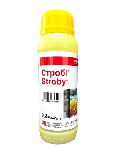 Фунгіцид Стробі — 0,2 кг BASF, фото 1