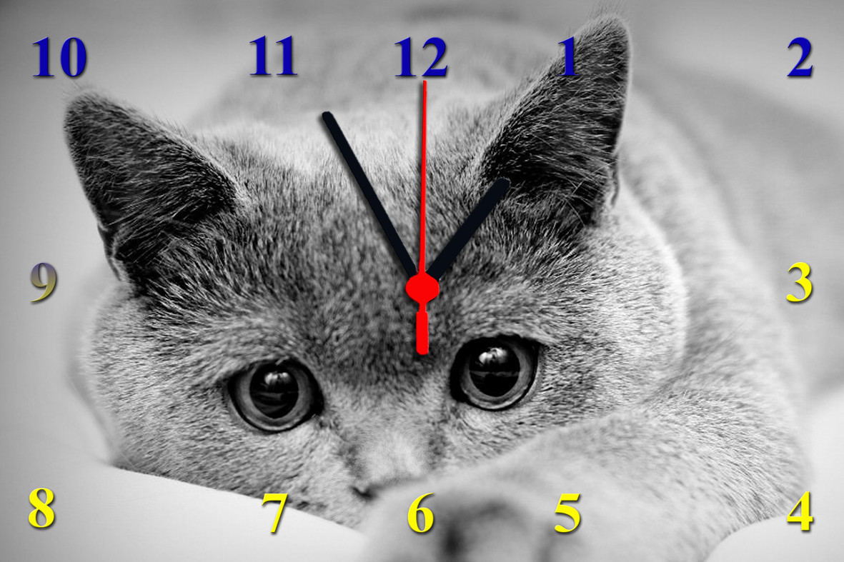 Настінні годинники зі скла "Котик" кварцові