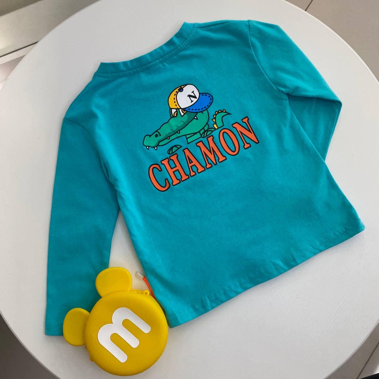 Кофта реглан для хлопчика "Champion" Бірюзова 2253 104, Xiaolubo.Hao, Бирюзовый, Для мальчиков, Весна Осень, 2 года