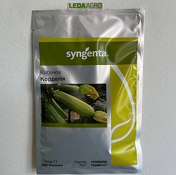 Корделія F1 500 шт (Syngenta)
