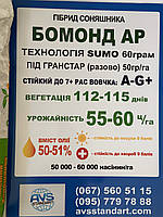 Бомонд Сумо під Гранстар 60грам. Соняшник Бомонд 55-60 ц/га, 112-115 днів, вовчок A-G. ТМ Агро Ритм, фото 6