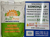 Бомонд Сумо під Гранстар 60грам. Соняшник Бомонд 55-60 ц/га, 112-115 днів, вовчок A-G. ТМ Агро Ритм, фото 5