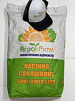 Насіння кукурудзи АР 18101К ФАО 310. Кукурудза Агро Ритм АР 18101К 140 ц/га., фото 6