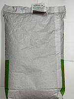 Насіння кукурудзи МОНІФІК ФАО 300. Кукурудза МОНІФІК Агро Рітм 120-140ц/га., фото 8