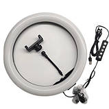 Якісна кільцева LED лампа RGB кольорова діаметр 33 см MJ 33, фото 3