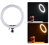 Якісна кільцева LED лампа RGB кольорова діаметр 33 см MJ 33, фото 2