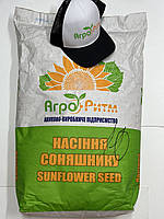 Семена подсолнечника Бомонд ТМ Агро Ритм. Подсолнечник под гранстар Бомонд 55-60ц/га, A-G. Экстра.
