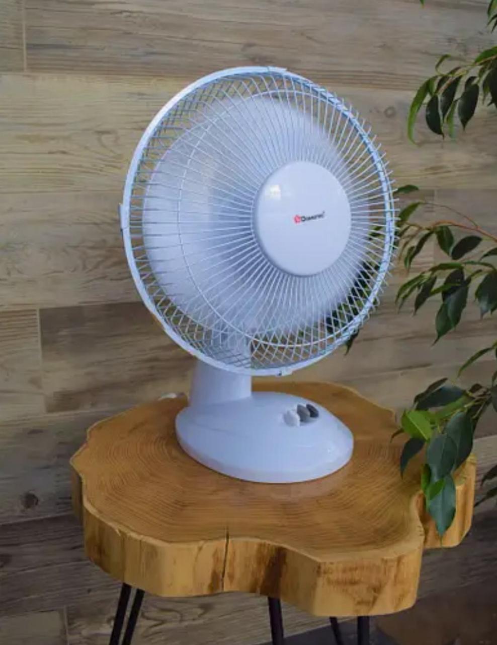 Настільний вентилятор Domotec MS-1624, фото 1