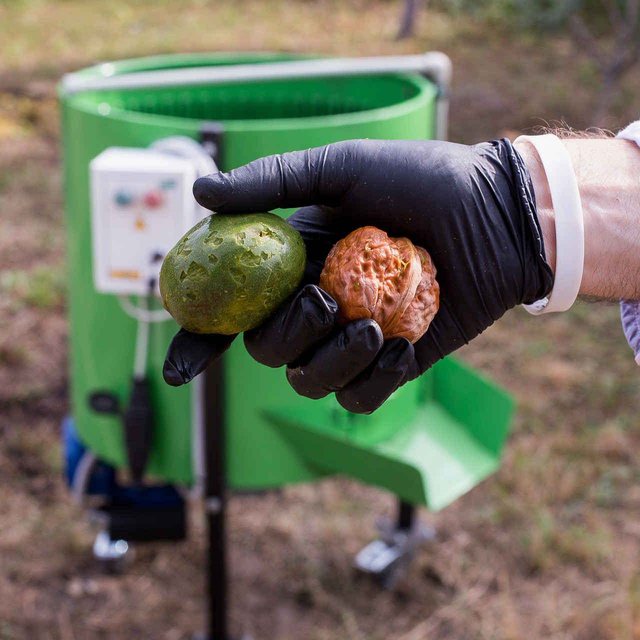 Очищувач волоського горіха від зеленої шкірки, Мийка горіха, пілінг для горіха (300 кг/год)