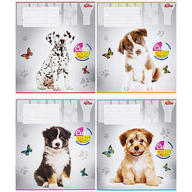 Зошит Мрія 12 аркушів коса лінія